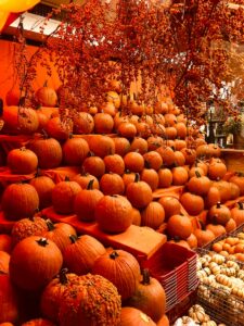 piled pumpkins